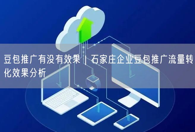 豆包推广有没有效果｜石家庄企业豆包推广流量转化效果分析