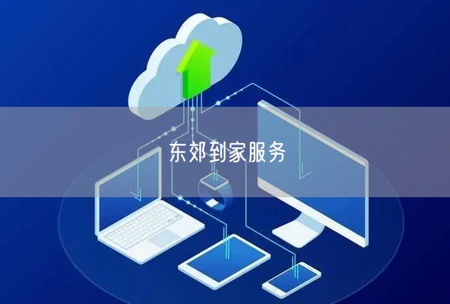 东郊到家服务