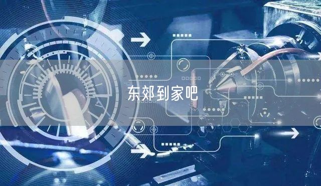 东郊到家吧