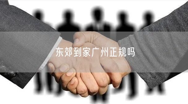 东郊到家广州正规吗